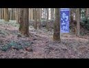 山城しんごの城めぐり　国指定史跡　烏山城＋毘沙門山(栃木県那須烏山市)
