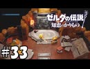 肖像画【ゼルダの伝説 知恵のかりもの】33
