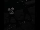 dancing cat