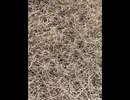 75645093673__D016D8DD-F009-4D6D-B420-A5545638B360