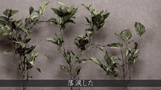 空園　feat.鏡音リン