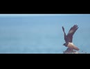 巣立ち / 可不