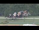 2024 阪神カップ(GⅡ)　ナムラクレア