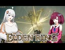 【エルデンDLC】きりきずは、影の地で。part16
