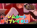 【実況なし】 バニーガーデン ハーレムルート 縛りプレイ #12