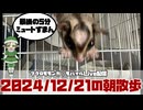 【 #おはモモンガ 】【 #朝活  】 #フクロモモンガ の朝散歩をライブ配信！2024/12/21 【 #アーカイブ 】