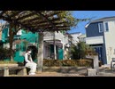 【ウィル生誕2024】プラネテス　踊ってみた【ひでよし】