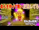 なんで俺も持って無い正装を偽物が着てんだよ！【ゼルダの伝説 知恵のかりもの】#62