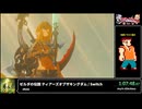 RTA in biim 2024 winter ゼルダの伝説 ティアーズオブザキングダム