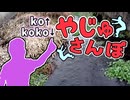 やじゅさんぽ　冬の水路探索の裏技