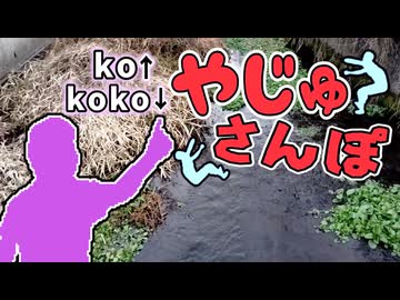 やじゅさんぽ　冬の水路探索の裏技