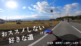 【バイク車載】おススメしないけど好きな道　徳島県　板野町～上板町～土成町【CBR650R】