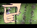 怪異を見つけよう！【Focus on Fox's windows】フリーホラーゲーム実況