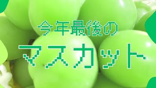 今年最後のマスカット