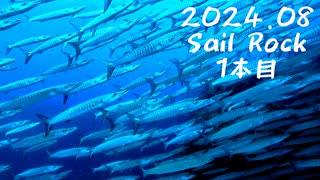 【スキューバダイビング】海外遠征!! 魚影が濃すぎる Sail Rock 1本目 【2024寒蝉鳴】