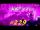 暗月の指輪を手に入れたりめっちゃピンクピンクしている腐れ湖を右往左往したりします【初見】エルデンリング実況／盗賊王物語【オフライン】#229