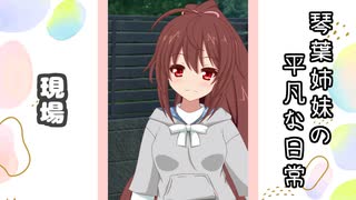 琴葉姉妹の平凡な日常 173『どうぐ屋⑧』【VOICEROID劇場】