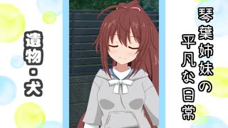 琴葉姉妹の平凡な日常 174『どうぐ屋⑨』【VOICEROID劇場】