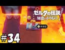 最高の回復手段【ゼルダの伝説 知恵のかりもの】34