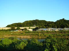 山城しんごの城めぐり　続日本100名城　小机城(神奈川県横浜市港北区)