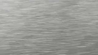 75661949364__D9595BC0-9832-40F4-9CA2-1C423A08042A