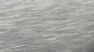 75662013250__90D55B34-A9D6-4EC1-B7B6-FA1C8A22285F