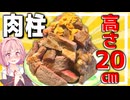 【肉の壁】重さ1.8kg高さ20㎝の巨大肉壁をXmasパワーで大食いする！！【VOICEROIDキッチン＋生声】