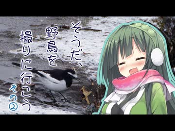 そうだ、野鳥を撮りに行こう その②