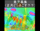 ｛意見募集19｝正月どう過ごす？
