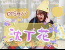 【cover】沈丁花 / DISH//
