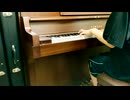 【Day17】-『home』 薮崎太郎の一日一曲アンビエント