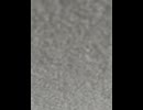 75670126893__F6CF255A-C9C4-4233-AE5B-06C84D5FDCCD