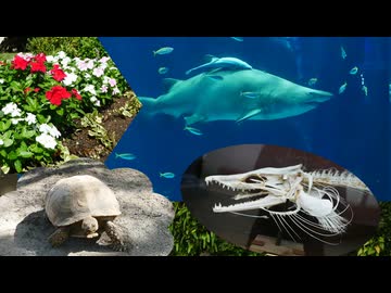 マリンワールド海の中道＆海の中道海浜公園 動物の森