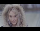 Pexels Videos 1959209