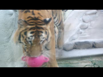 福岡市動植物園