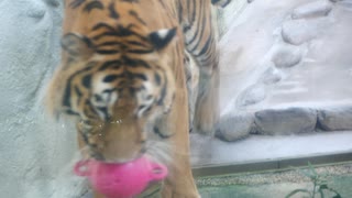 福岡市動植物園