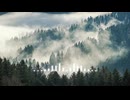 うすけん - 　形影相弔　ft. 初音ミク