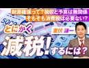 とにかく減税するには？財源確保って？税収と予算は無関係！室伏謙一【赤坂ニュース210】参政党 ※未公開シーン