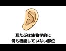 カップラーメンができるまでの3分雑学Vol.3