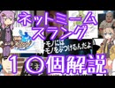 今さら人に聞けないネットのネタ解説その14【結月ゆかり×春日部つむぎ】