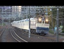 【2編成同時で】東武鉄道80000系電車81501/81502編成甲種輸送(20241224)【10両】