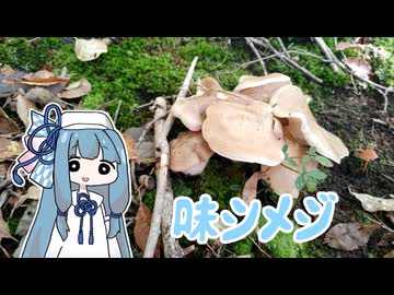 【A.I.VOICEキッチン】採取したキノコを食べる葵ちゃん　ラーニング