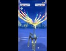 #ポケモンgo #gbl ストーンエッジ通します！ ランドロス オリジンディアルガ イベルタル 日食ネクロズマ ドサイドン #shorts #マスターリーグ  #pokemon