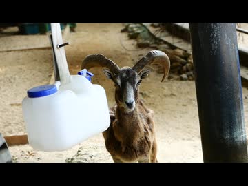 大牟田動物園