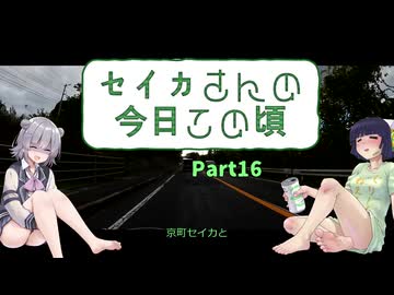 【京町セイカ車載】セイカさんの今日この頃 Part16（爆撃を受けました）