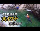 【八久和源流釣り①】大イワナうじゃうじゃ！源流マン憧れの渓へ挑む！！【三泊四日/Day1-Day2】
