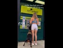 犬は最高の番人です。
