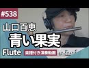 山口百恵「青い果実」をフルートで演奏 楽譜 コード 付き演奏動画