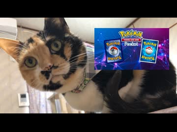 【ポケポケ】ポケモンカードに魅せられて 1ドロー目【マタドガスプクリンゲッコウガ】