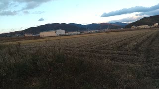他者に対して湧き上がるままの反応を見せることに対する抵抗感、禁忌の幻覚、幻術が解ける遠隔法術ヒーリング